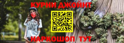 индика Новодвинск