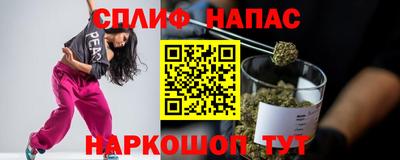 молекула духа Новозыбков