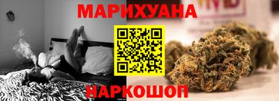 индика Новодвинск