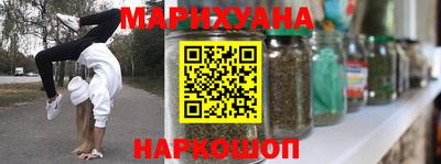 индика Новодвинск