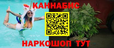 индика Новодвинск