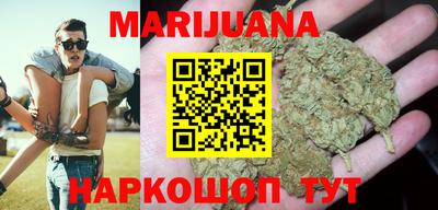 молекула духа Новозыбков