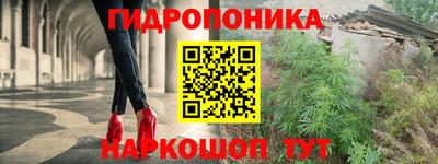 молекула духа Новозыбков