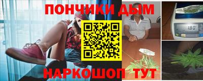 индика Новодвинск